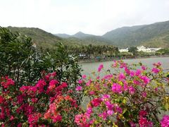 android_upload_pic-三亚亚龙湾凯莱仙人掌度假酒店