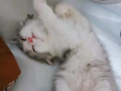 -小南小粉手工粉(迎薰路店)