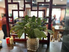 -要德鱼庄(陕钢家属院店)