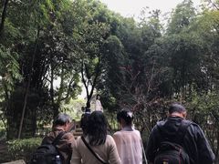 -望江楼公园