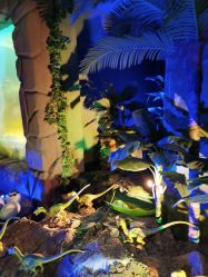 -恐龙探索乐园(磁器口店)