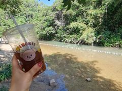 -广州白江湖森林公园