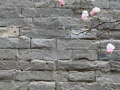 -东华门大街小区
