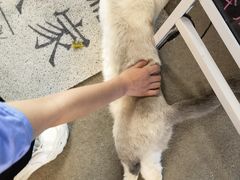 -泰国佛·塔罗·泰牌狐仙古曼