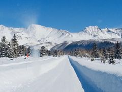 -长白山吉祥物天池水怪专卖