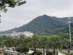 -白石龙音乐公园
