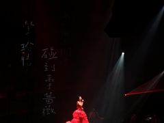 -成都金融城演艺中心
