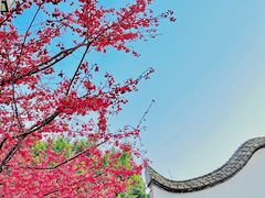 -乌山风景区