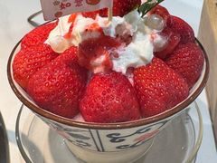 -花菇朵 ll 野生菌锅·精品滇菜(后沙峪店)