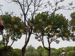 -浦东绿地假日酒店·随心全日餐厅