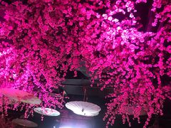 大堂-韵秋荷(宝山龙湖天街店)