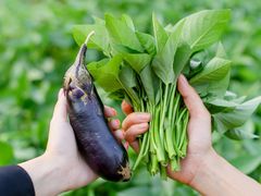 -凤来栖·净庭院·火锅(欧尚店)