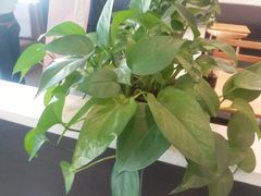 -李先生牛肉面大王(莱芜信誉楼店)