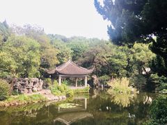 -叶家花园