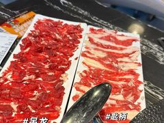 -古乐牛香·鲜牛肉牛杂火锅(高新店)