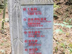 -祁门牯牛降观音堂风景区