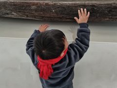 -中国港口博物馆