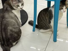 -谜盒子奇幻密室(南屏店)