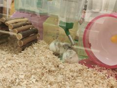 -龙猫仔乐园(惠福东路店)