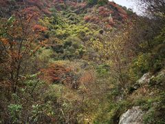 -抱龙峪