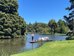 -墨尔本皇家植物园