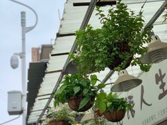 -溪岸路花鸟市场