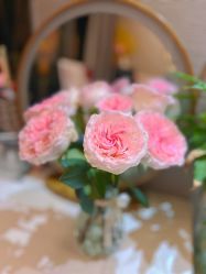 -哈颜科技轻美·