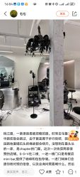 -SALON DE VANHADA