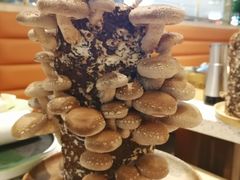 -椰子营·椰子鸡火锅(万象里店)