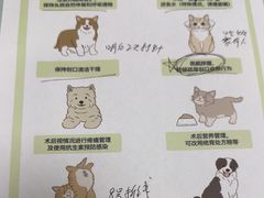 -宠福鑫康馨动物医院·骨科·眼科