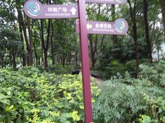 -成都市活水公园