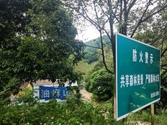 -黄埔油麻山森林公园