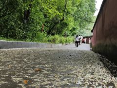 -南华禅寺