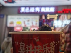 -黑色经典臭豆腐·湖南特产(潇湘文化店)