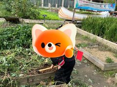 -宁波九龙湖开元度假村