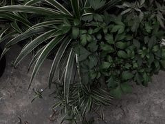 -海底捞火锅(高科广场店)