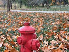 -河南省黄河迎宾馆