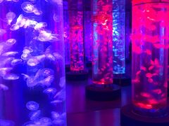 -梦幻海洋王国(吾悦广场张家港店)