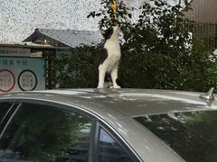 -广东水利电力职业技术学院(天河校区)