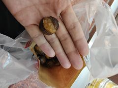 -小宝栗子(嘉华国际商业中心店)