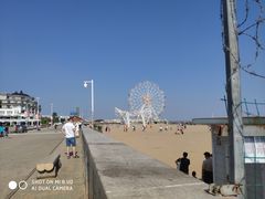-碧海金沙