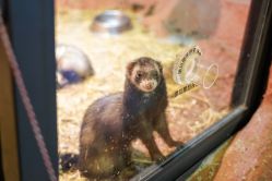 -酷嗒动物文化乐园(cutezoo西溪乐天城店)