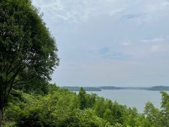 -天目湖涵田半山温泉