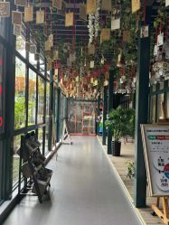 -保丽宝泰母婴护理院·月子中心·产康·中医(常州店)