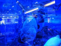 -成都浩海立方海洋公园