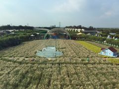-广州花之恋城堡酒店