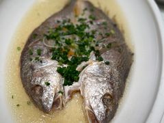 -绿杨春·淮扬宴(庐山路店)