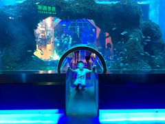 -石家庄海洋公园