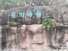 -深圳国际园林花卉博览园