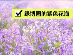 -郑州中国绿化博览园